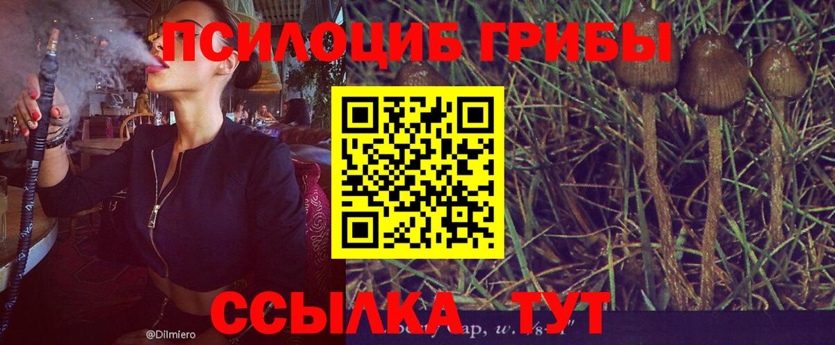 Галлюциногенные грибы MAGIC MUSHROOMS Клин